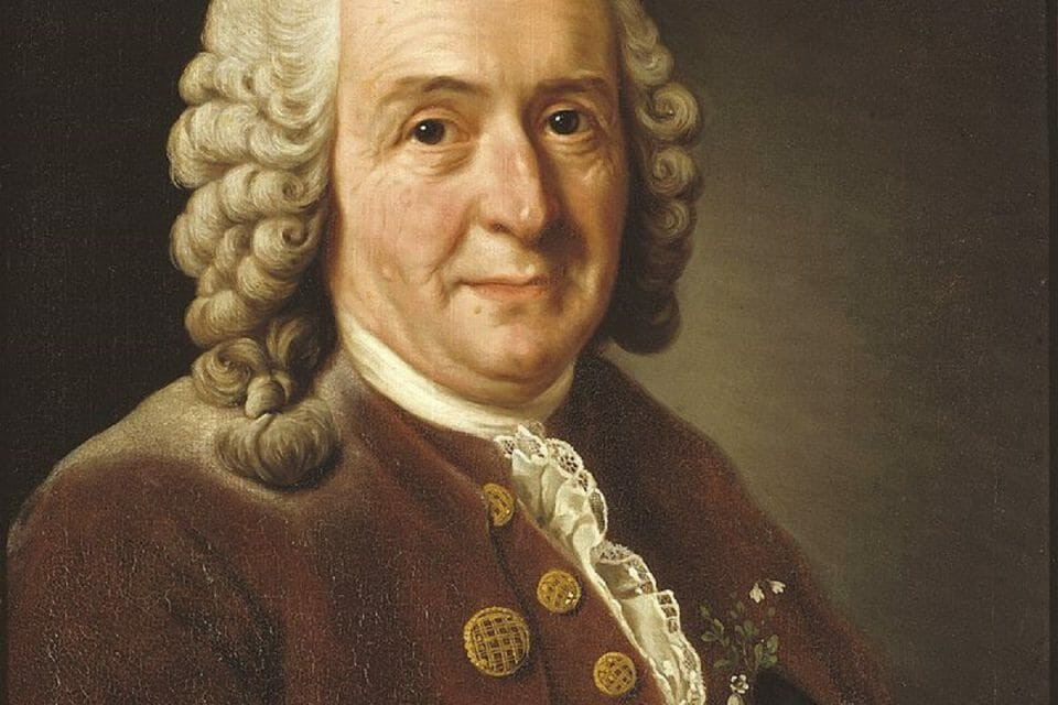Carl von Linnu00e9 960x640