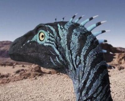 Animales que han evolucionado